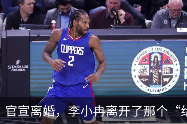 官宣离婚，李小冉离开了那个“给你五个亿让你作”的男人